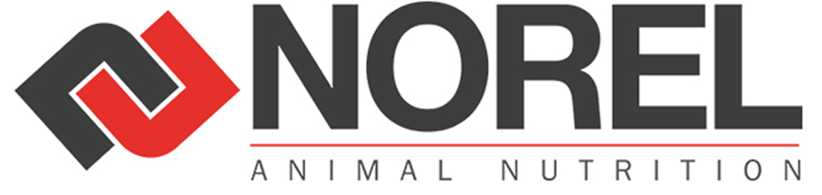 NOREL