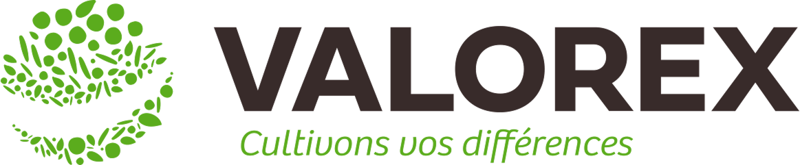 Valorex